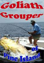 Goliath Grouper of ...